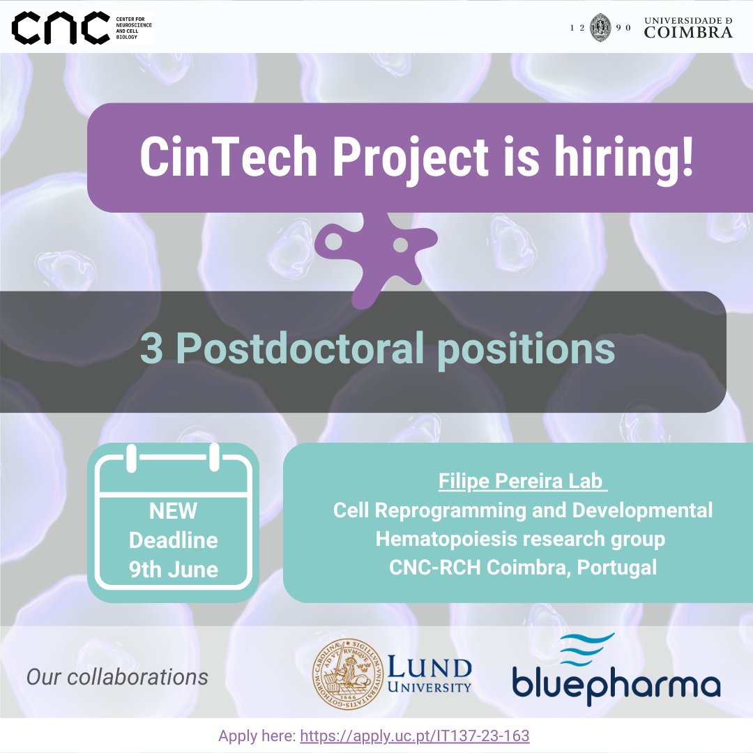 CellReproLab tweet picture