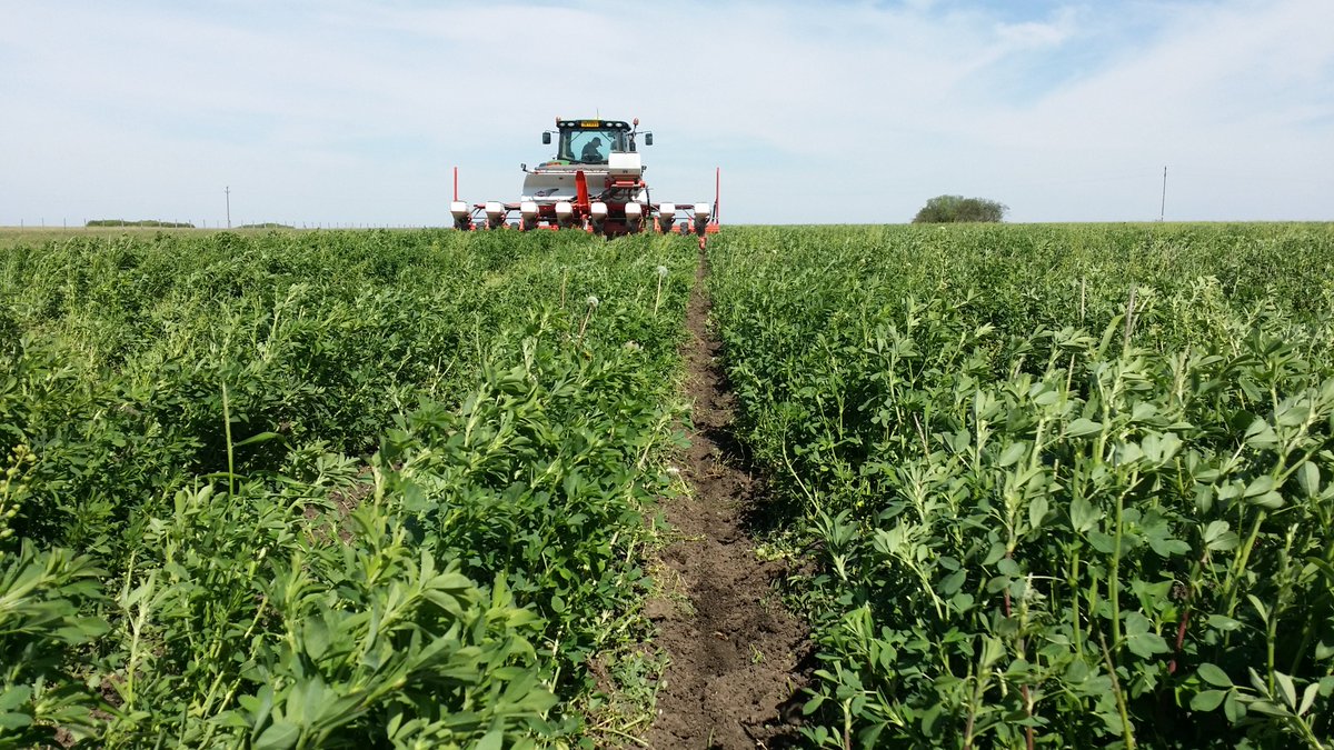 Nicolas Lefebvre tweet media