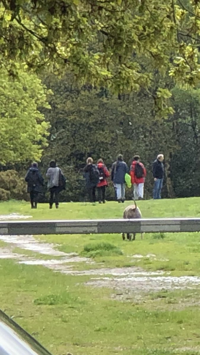 HolyheadDofE's tweet photo. @holyhead_school are out and about on their @DofE Bronze Practice .. it may be raining but spirits are high 💙 @HolyheadDofE 
@DofECentral 
@holyhead_school 
#proudteacher #firsttimeasateam https://t.co/grWQgujylq