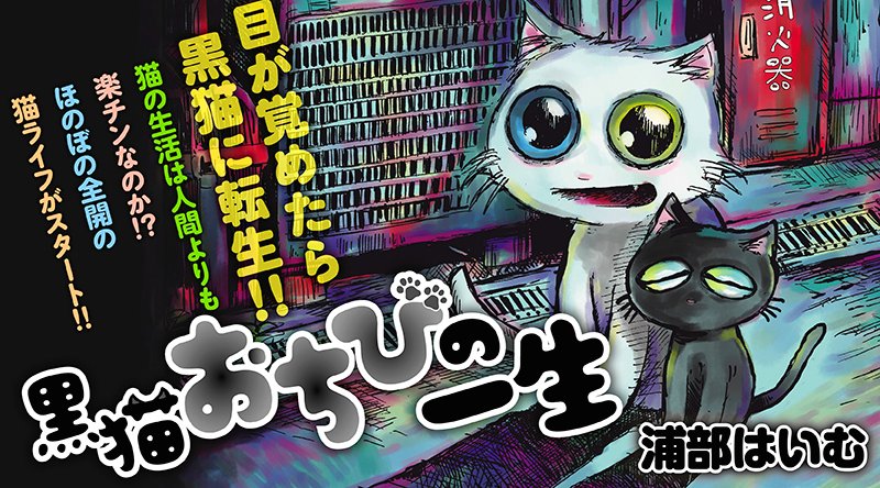 COMIC_MeDu's tweet photo. COMIC MeDu、明日の更新は
■すずめくんの声（11）
■ゆーちゃと魔王（58）
■黒猫おちびの一生（23）
■サムタイムズ・ブルー（番外編）
の4本です！ https://t.co/9OaSlkllkB