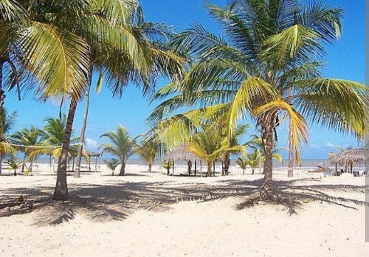 ¿En cuál de esos Estados de Venezuela queda Playa Machurucuto?
-Sucre
-Carabobo
-Falcón
-Miranda
-Anzoategui