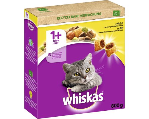 FollowingCat01 tweet picture