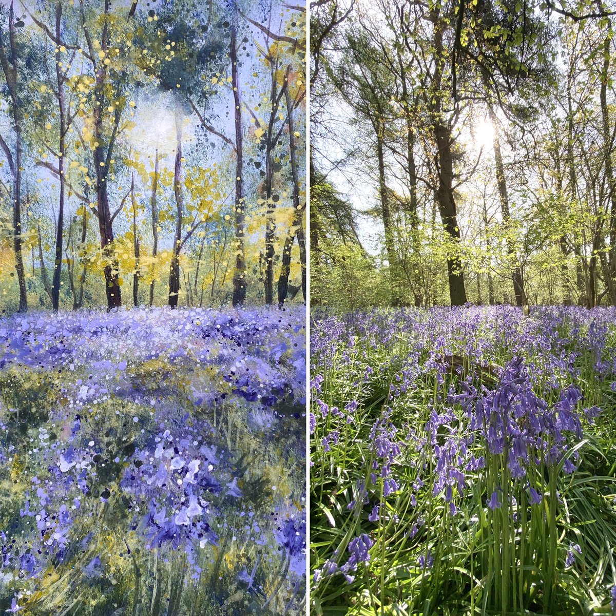 CathrynJeff's tweet photo. Bluebell wood acrylic painting and the inspirational photo taken earlier this week. Did I mention it is my favourite time of the year?! 😂 #addictedtobluebells 

#bluebellseason #bluebells #bluebellspainting #inspiration #oxfordshireartweeks #dailypainting #lovepainting https://t.co/n9d8SrcBWn