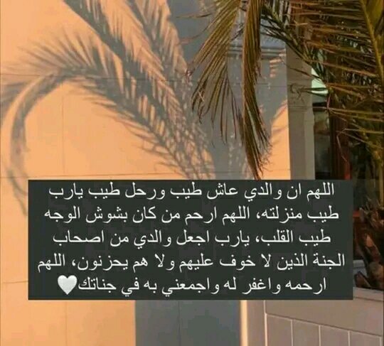 7fadaia's tweet photo. اللهم انصر اخواننا في غزة 
يارب العالمين 

ورحم أبي رحمة الأبرار 

اللهم صل وسلم على نبينا محمد 
#غزة_تحت_القصف https://t.co/YZuZG8qMya