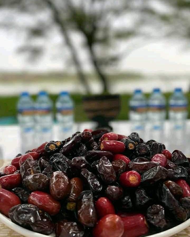 -      
اجعَلـوا للفرَح شكراً ، وللحزن صبراً
واحمدُوا الله علئَ كُل حـَال.."