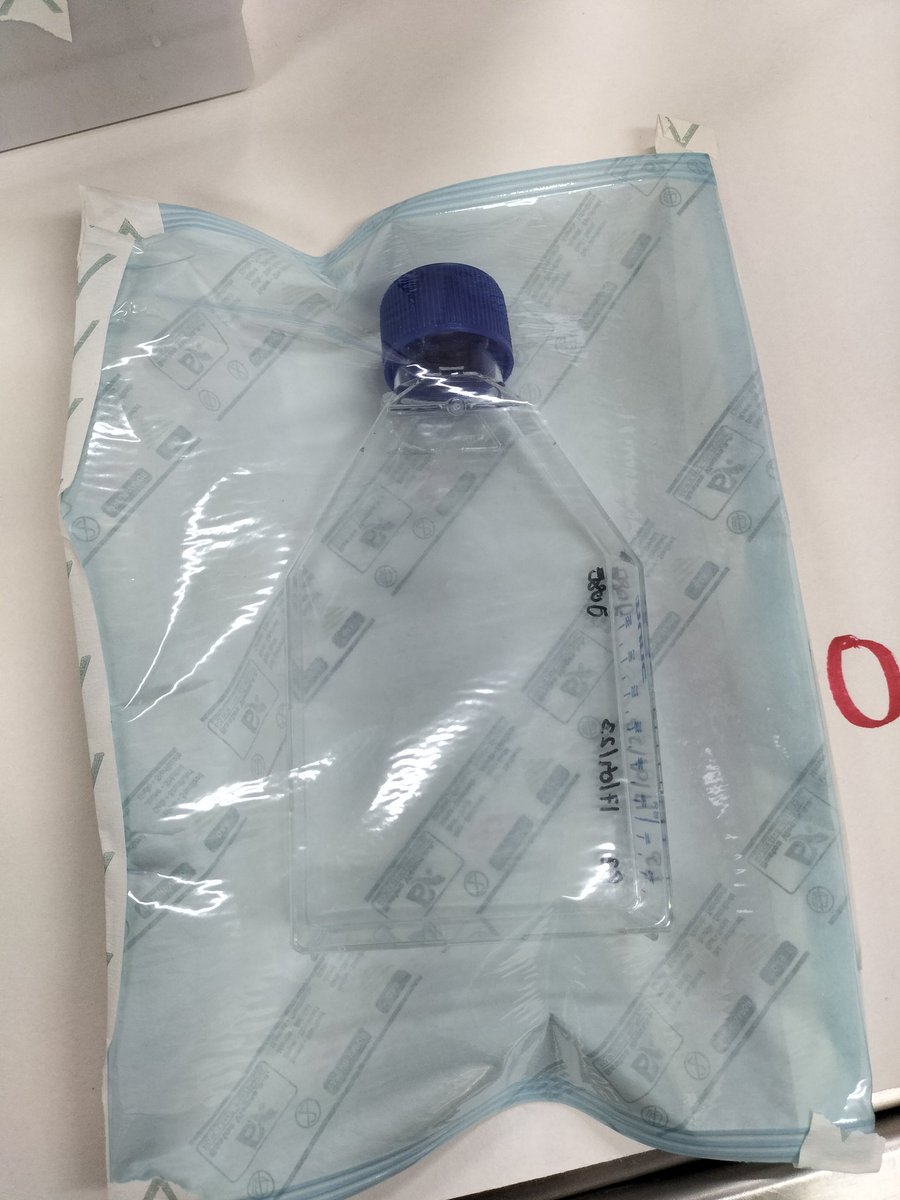 👉 De los creadores de "Las placas Petri de plástico no se autoclavan"
👉 De los productores de "Vas a joder el autoclave"
Llega la nueva superproducción "Sujétame el cubata que meto un flask75".
Próximamente en sus pantallas, plataformas digitales o en el despacho del decano...