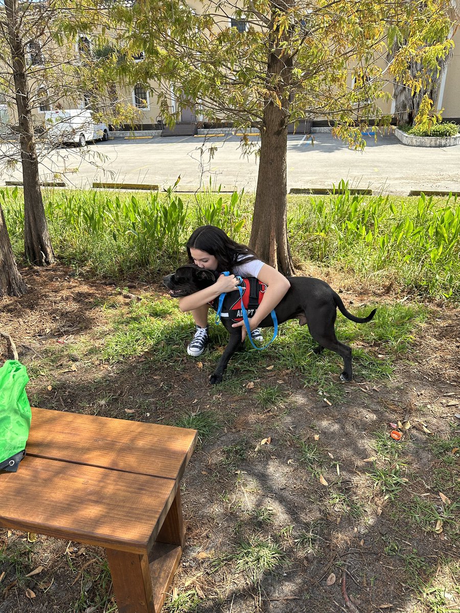 jade_torna's tweet photo. Miami! 🚨🐾
Miami Dade Animal Services now allows you take a shelter pup for a day! Pawventures give the pups a great break from the shelter environment &amp; the possibility of finding a forever home. Please consider doing one! Message me if you have any questions! @AdoptMiamiPets https://t.co/uMxpuzOltH