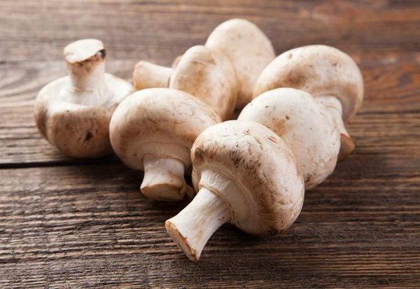 ¿El #consumo de #champiñones podría ser la clave para un #envejecimiento #saludable? bit.ly/3NURJgu