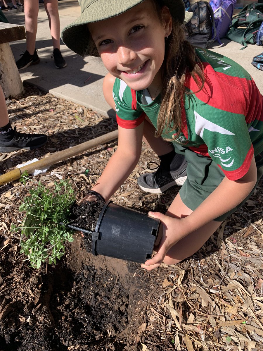 Last year when I visited #CudgegongValleyPS in Mudgee Yr2 were writing a book on the uses of native plants in their garden 😁💚 today it’s published &amp; I had the pleasure of talking about the plants &amp; we planted some more 🌱🌳 #bushtucker #youthcommunitygreening