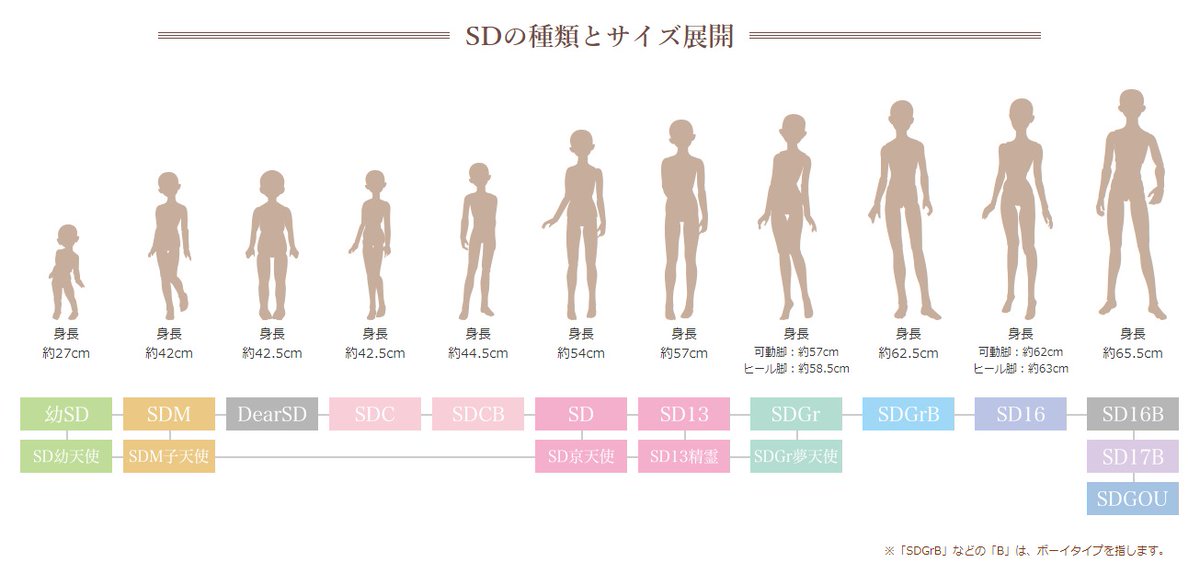 スーパードルフィー（SD）」にはどんなサイズがあるの？ SDには