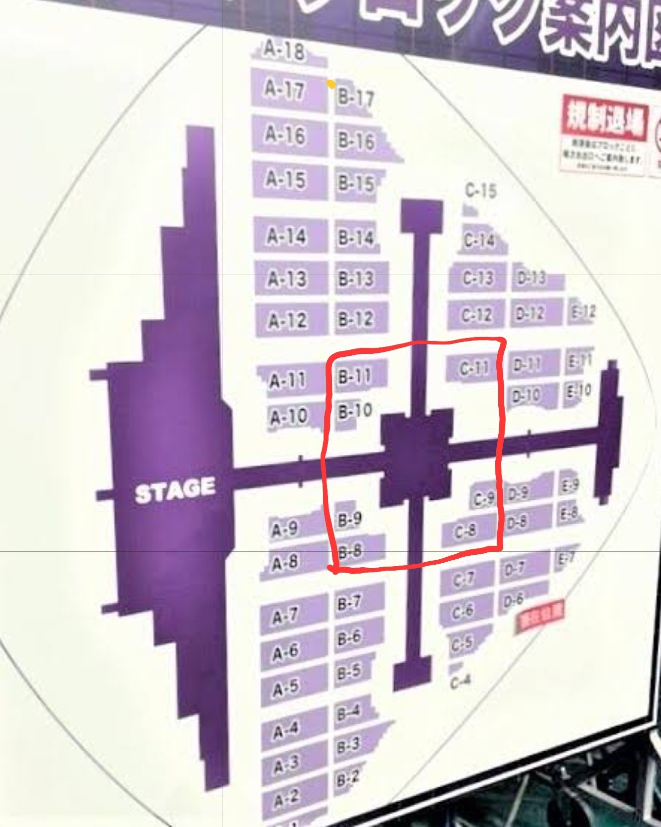乃木坂46 座席権利 乃木坂46 座席表】LIVE TOUR 2025 アリーナ構成 ※会場別データ