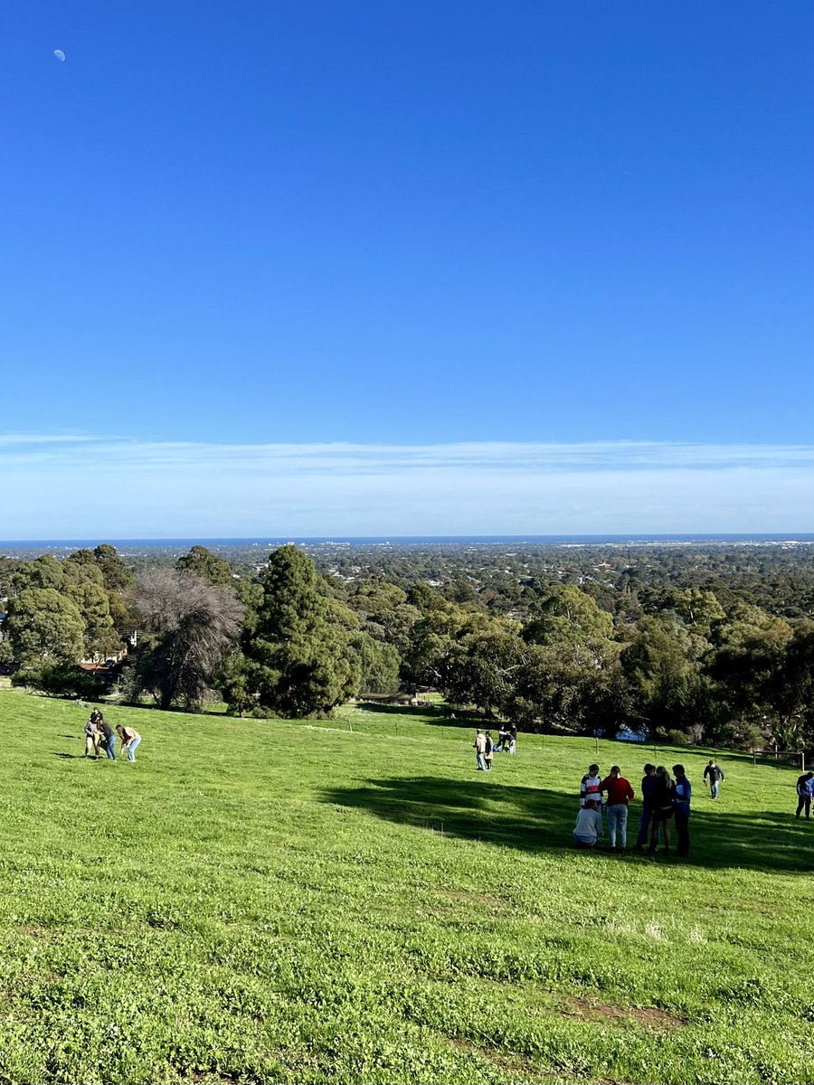 Views today at Waite campus as first-year Ag Systems students look at pasture assessment and feed budgeting  <a href="/trialsofJManson/">James Manson</a> <a href="/UniofAdelaide/">Uni of Adelaide</a>