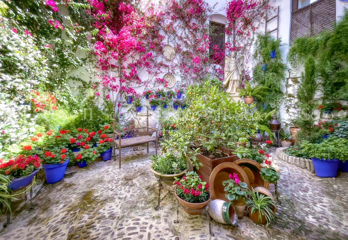 Un poema de flores... La Fiesta De Los Patios De Córdoba 2023.
<a href="/Cordoba_spain/">ℂÓℝ𝔻𝕆𝔹𝔸</a> <a href="/CordobaESP/">Turismo de Córdoba</a> <a href="/MencantaCordoba/">Córdoba (España)</a> <a href="/VerCordoba/">Que ver en Córdoba</a> <a href="/TurismoAndaluz/">Turismo Andalucía</a> <a href="/viveandalucia/">Vive Andalucía</a>