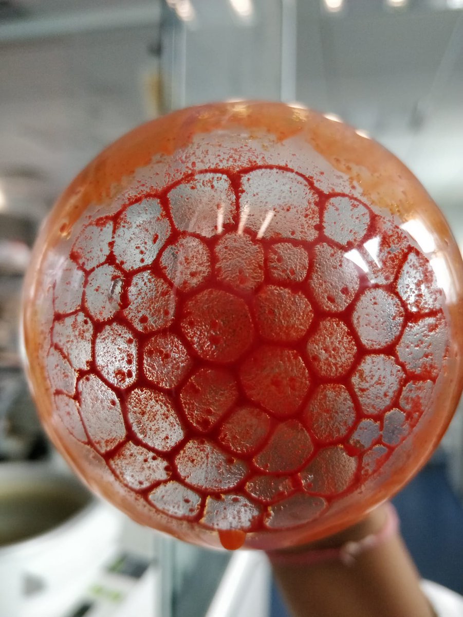 Honeycomb BODIPY 😉😉. I synthesized the first BCP-BODIPY array in 2018 (on my birthday ) and we got this beautiful pattern after solvent evaporation. #MyChemMoment #EurJOC25 #EurJIC25