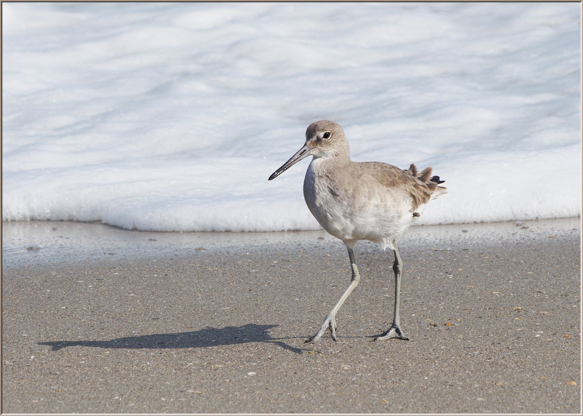 DailyPicTheme2's tweet image. Saturday 13  May  
Today’s Daily Picture Theme  'Appealing' 

RT or reply with your own picture   
 
Tomorrow’s theme will be 'Burst'

#DailyPictureTheme  #Appealing  Me and My Shadow