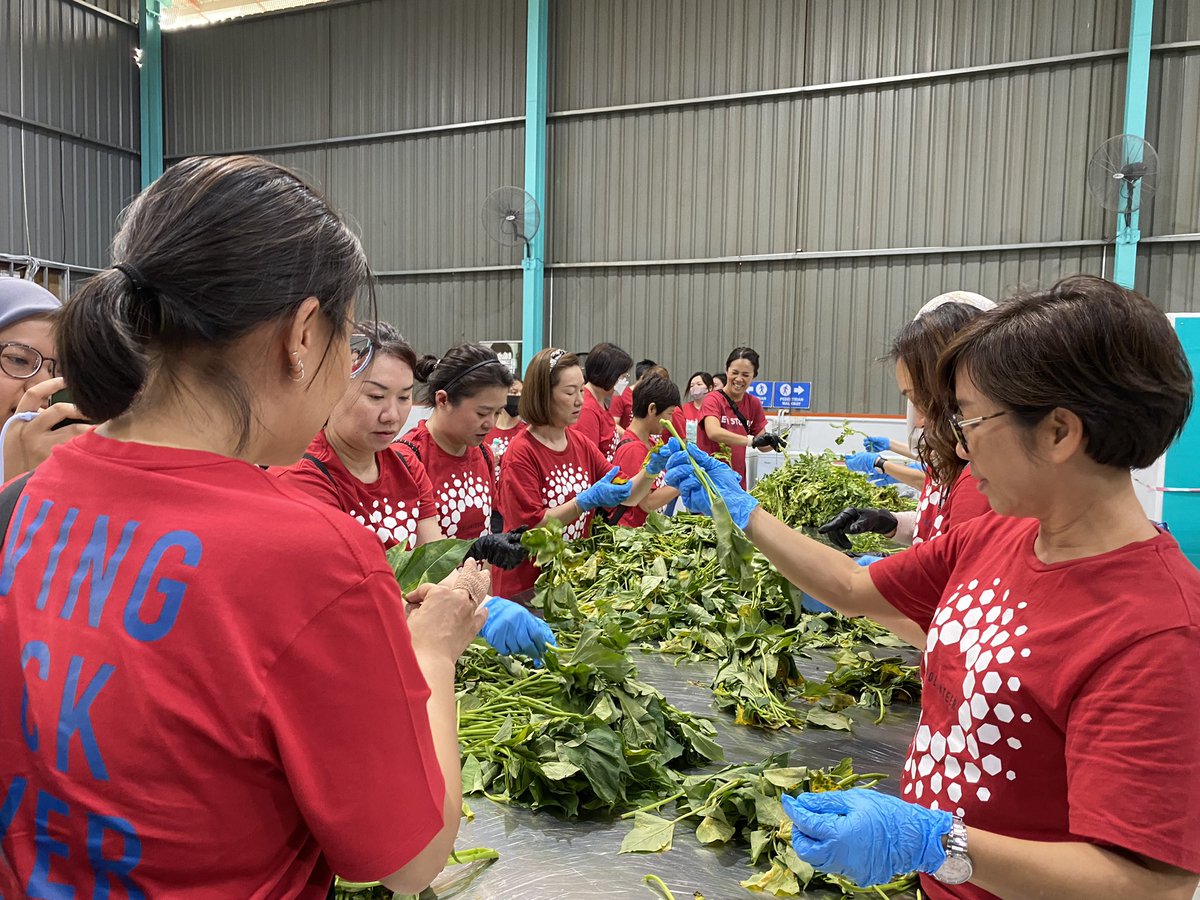 The Lost Food Project tweet media