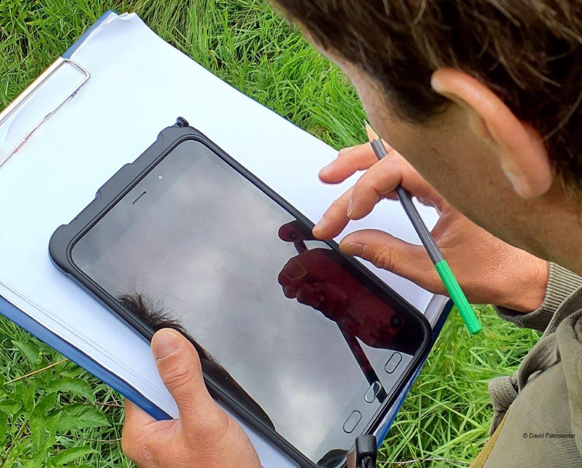 Umwelt_AT's tweet image. Wie Hobby-Forscher:inen und Hobby-Fotograf:innen Natur schützen? Mit der Naturbeobachtungs-App iNaturalist! Einfach geschützte/nicht heimische Tier- oder Pflanzenart fotografieren, uploaden &amp;amp; mit der Community teilen. Mehr unter 👉 umweltbundesamt.at/news230508
#CitzenScience