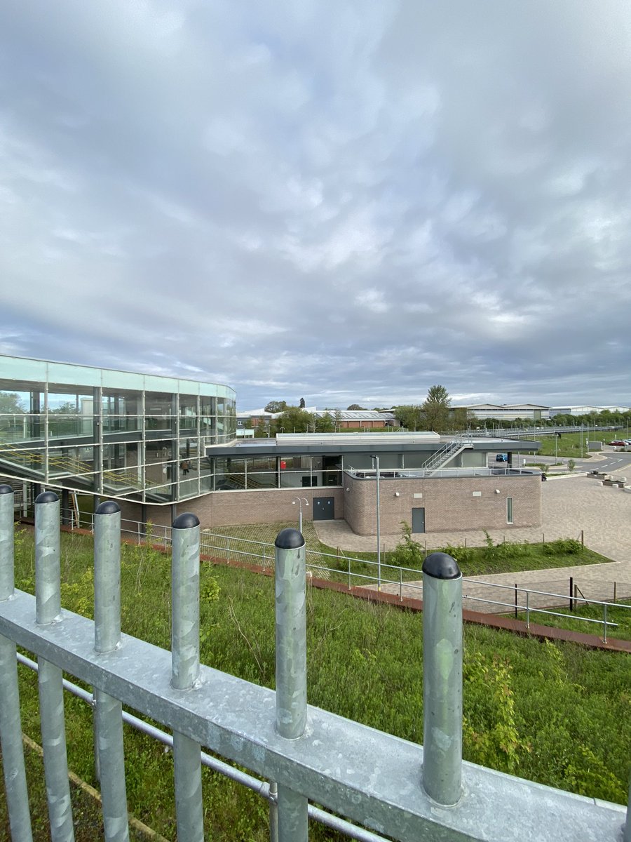 Lynda Jubb tweet media