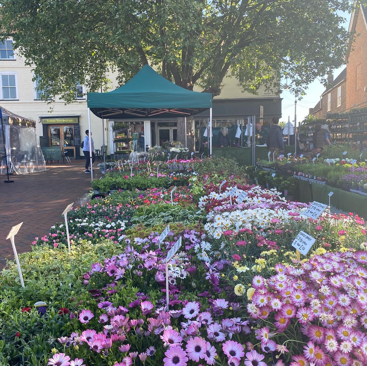 ElyMarkets's tweet photo. 🌞 Ely Charter Market is open today from 8.30am-3.30pm. If you're looking for fresh produce, market shopping is perfect as you can buy exactly what you need with minimal packaging. Don't miss out on this opportunity to support local businesses and enjoy some delicious food! https://t.co/C3nHX299c3