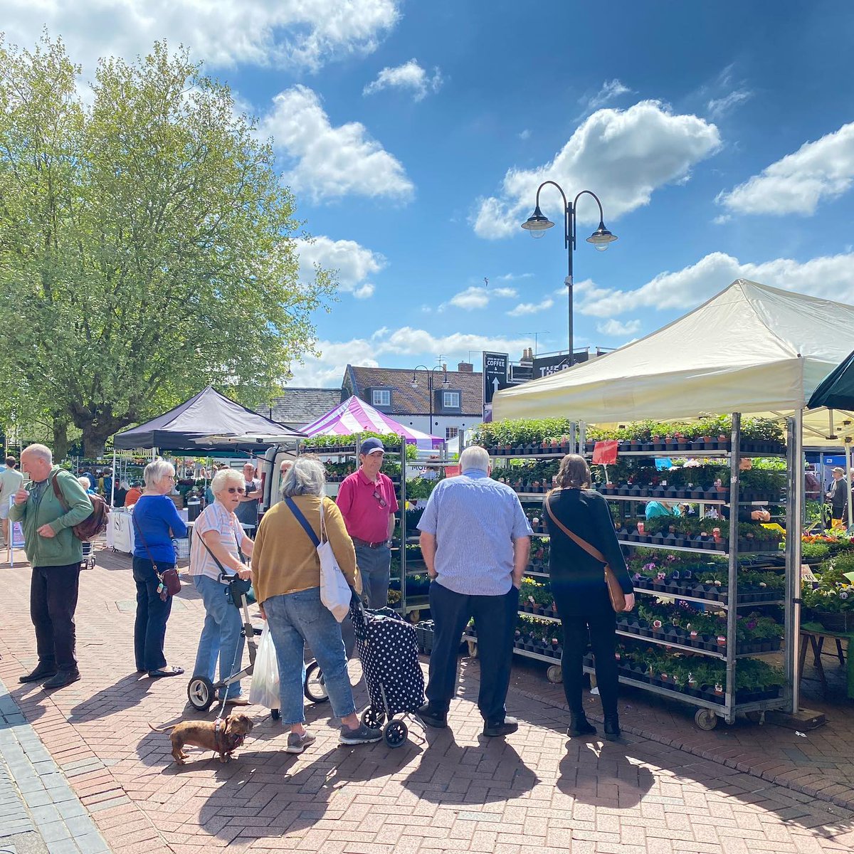 ElyMarkets's tweet photo. 🌞 Ely Charter Market is open today from 8.30am-3.30pm. If you're looking for fresh produce, market shopping is perfect as you can buy exactly what you need with minimal packaging. Don't miss out on this opportunity to support local businesses and enjoy some delicious food! https://t.co/C3nHX299c3