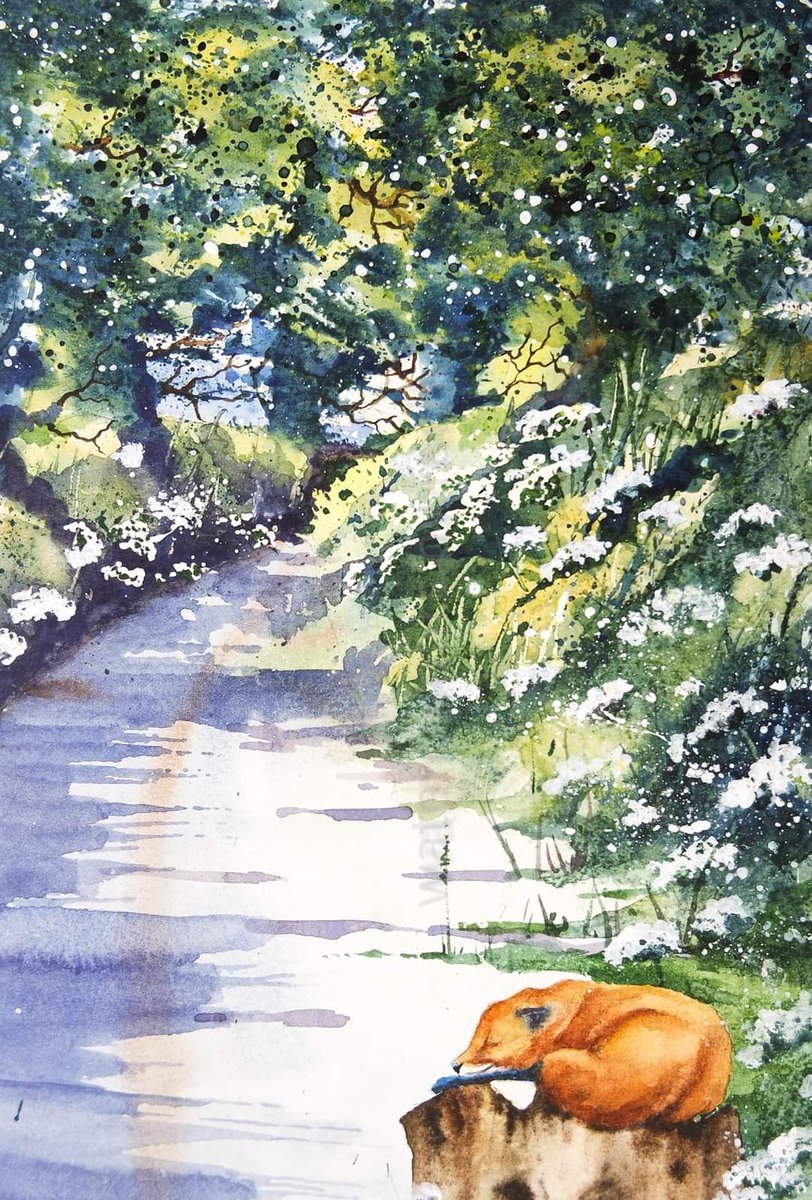 Elidanza's tweet photo. Before the rush hour...
Happy Thursday x
#watercolour #watercolourpainting #Devon #DevonLane #Countryside #trees #shadows #fox #BritishWildlife #cowparsley #hedgerow #wildflowers #leaves #newgrowth #greens #painting #artist #art #paint https://t.co/XzOQtpNFAa