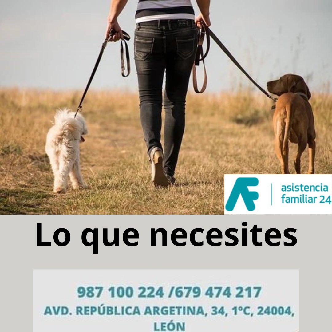 AsistFamiliar's tweet photo. No solo te cuidamos a ti, cuidamos todo lo que tú quieres y te interesa, pregúntanos.
#CuidoPerros #ayudafamiliar #proteccionanimal #AsistenciaFamiliar https://t.co/mLlv5UEa3O