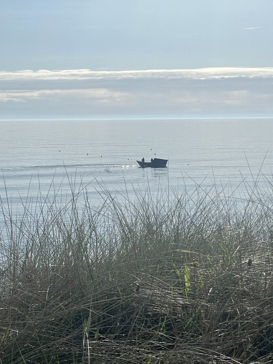 First Coble I’ve seen out this year , collecting its nets of #Warkworth @Warkworth_Amble @AmbleByTheSea .. weather is improving. #ZacDog #GusDog