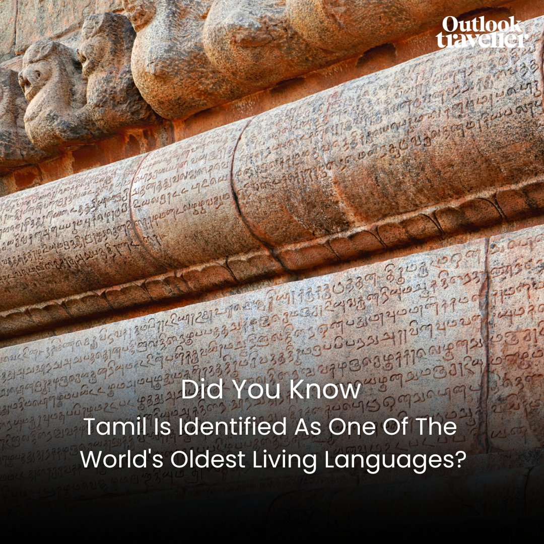 Tamil is recognised as one of the world's oldest living languages and the oldest language in the Dravidian family. Among Indian languages, Tamil has the most ancient non-Sanskritic Indian literature.