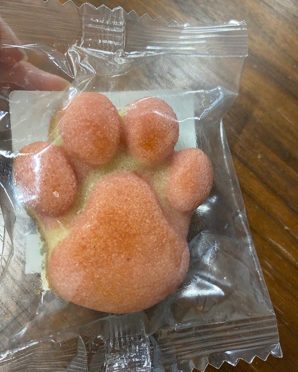 実家の犬とそっくりのフィナンシェ🐶🧁 可愛くて買ってしまったよ〜😆🌈