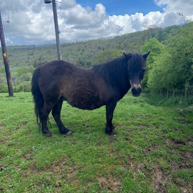 darton_k50435's tweet image. Good morning #good #GoodMorningEveryone #goodtwitter #WritingCommunity