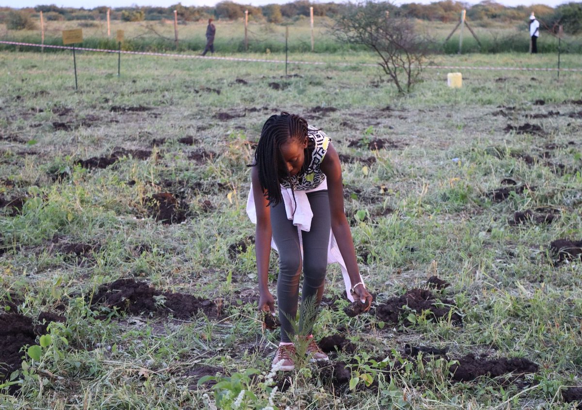 Yesterday I went on behalf of  #NACONEK which was invited by  @PONTYPRIDDHOLDINGS LTD to support their tree planting on the road to #CarbonNeural we explore how we could harmonize our common areas of interest within our #NACONEKSchool4CarbonOffsetProject #NDC_Implementation254
