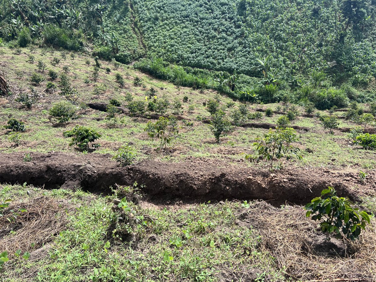 Kenneth Barigye tweet media