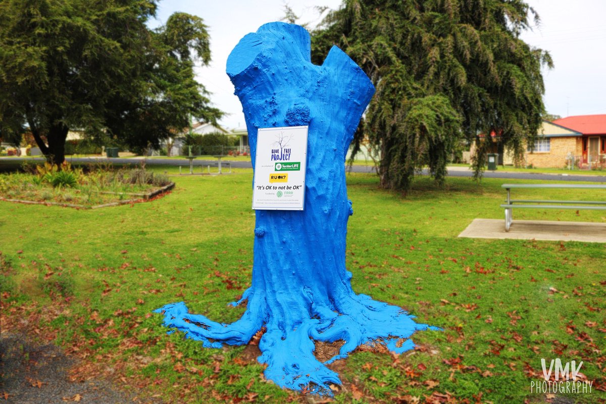 vmk_photography's tweet photo. 💙BLUE TREE PROJECT💙

📍 Tenterfield, New South Wales
📸 Canon 750D

[photo a day in may #11]
#BlueTreeProject #Tenterfield #MentalHealthAwareness #MentalHealthMatters #NationalPhotographyMonth #PhotographyMonth #PhotoADayInMay #PhotoADay #VMKPhotography #photography https://t.co/RfRLwrFwg8