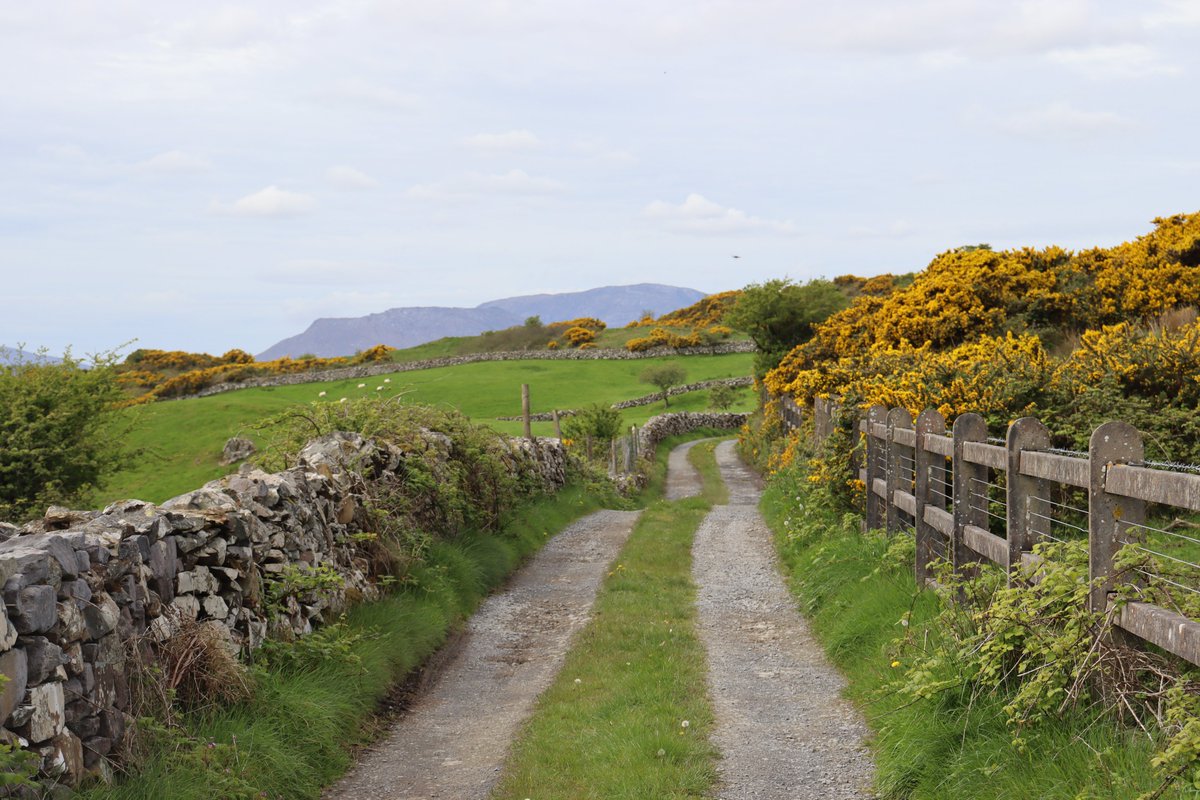Giorraíonn beirt bóthar. This weekend why not explore Joyce Country. Seanbhóthar was a bridle path linking Clonbur and Corrnamóna. Don't forget to pop in to <a href="/jcountrybakery/">Joyce Country Bakery</a> for some delicious treats