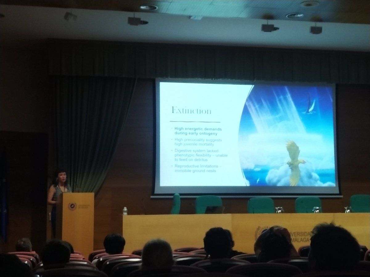 SAPE 2023 (@sape2023) on Twitter photo Starting our third day of Congress with our last keynote <a href="/Paleontologista/">Jingmai O'Connor</a> giving a wonderful talk on the evolution and biology of enantiornithines the most speciose group of stem birds! #SAPE23 Starting our third day of Congress with our last keynote <a href="/Paleontologista/">Jingmai O'Connor</a> giving a wonderful talk on the evolution and biology of enantiornithines the most speciose group of stem birds! #SAPE23