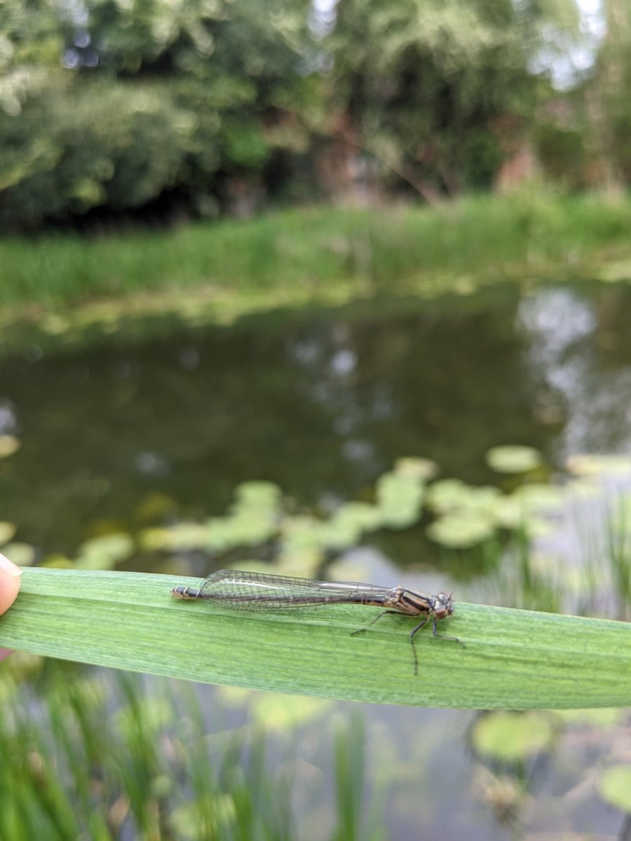 Matthew Bailey tweet media