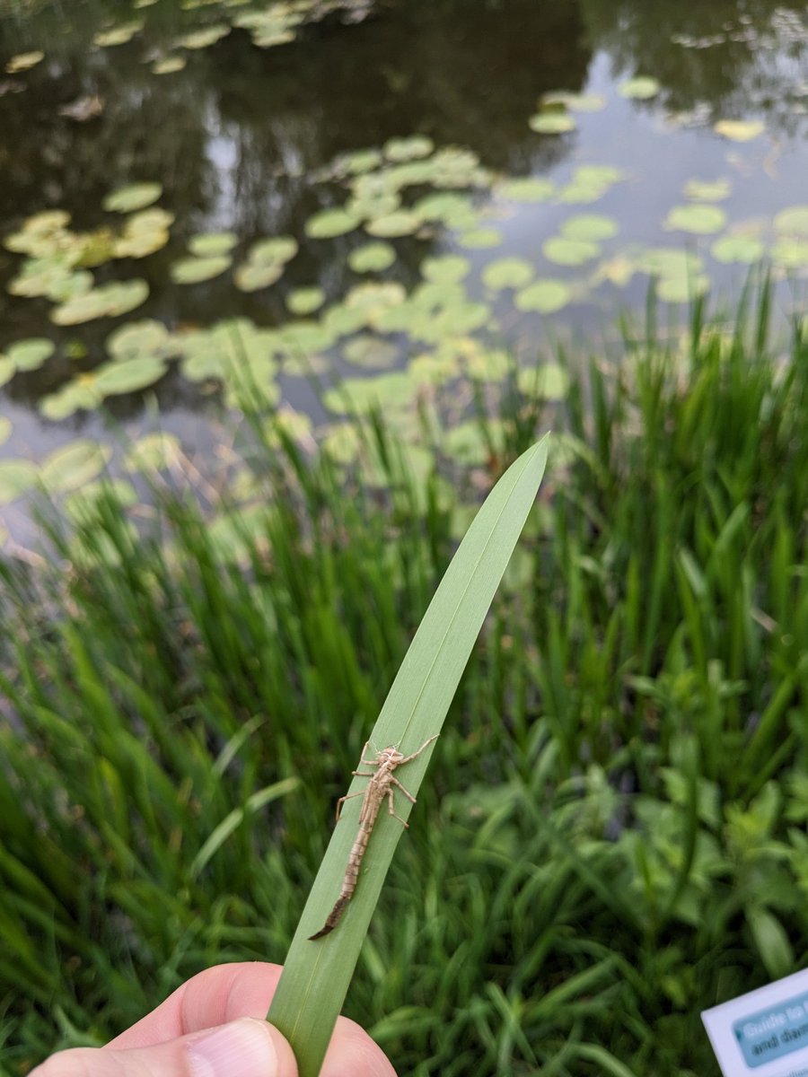 Matthew Bailey tweet media