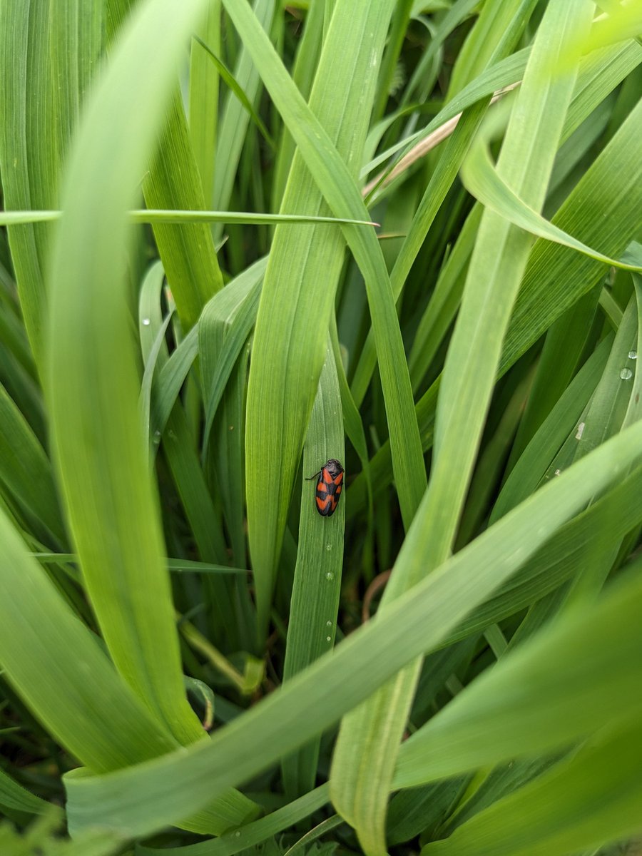 Matthew Bailey tweet media