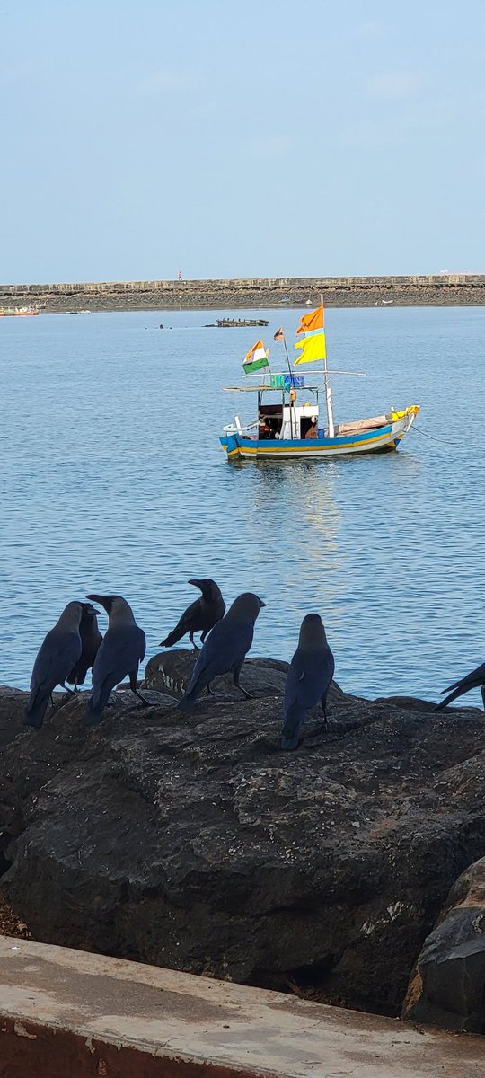 Ramesh Narayan tweet media