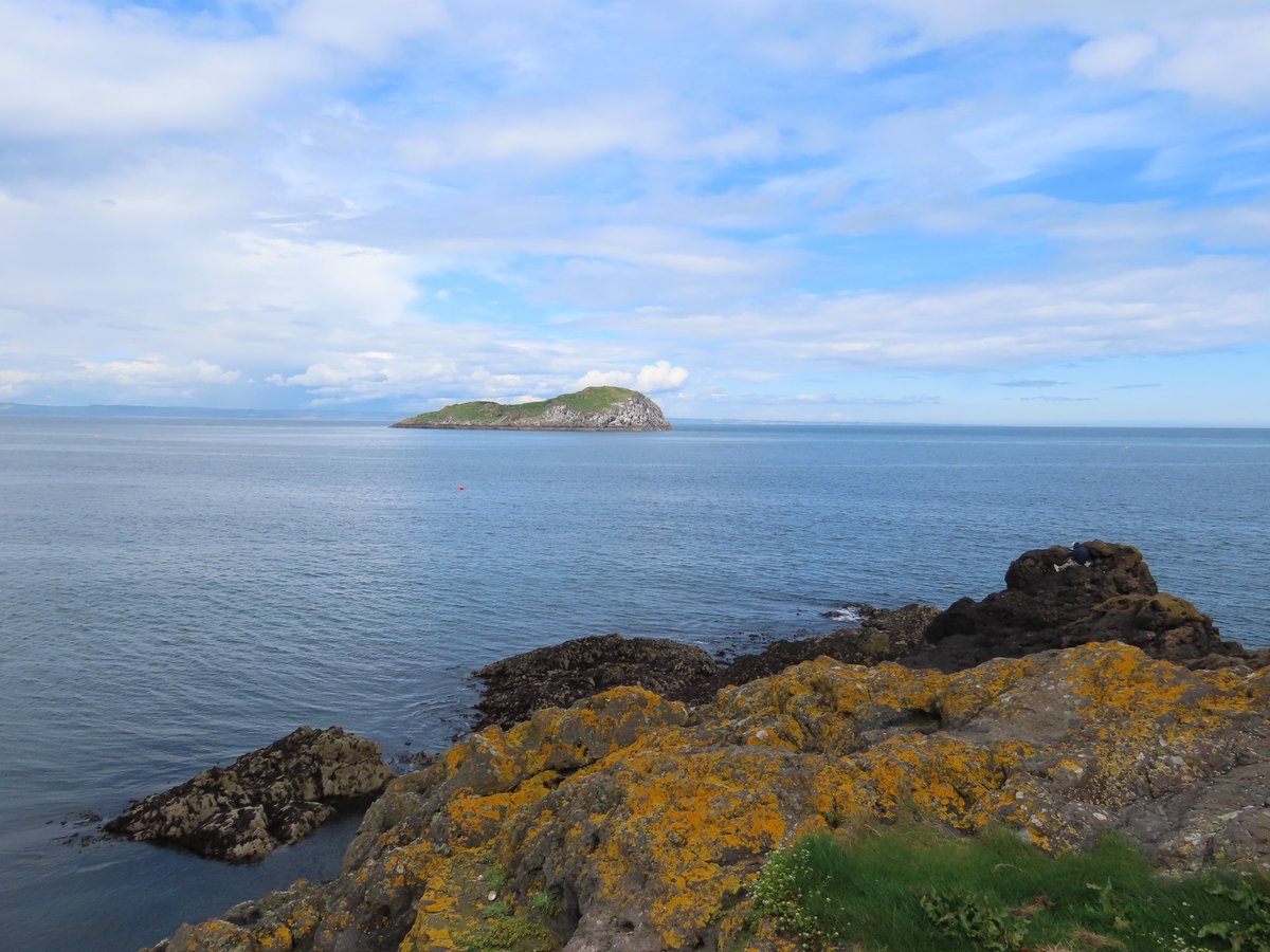 smdavies67's tweet photo. #Pedal to the @SeabirdCentre - a great way to arrive โฆ then visit the #experience, have some refreshments in the #cafe and soak up the views, before a little #retail therapy and pedal home.
#cycling #activetravel #pedalling #cycle #gifts https://t.co/6KTvmIlGFV
