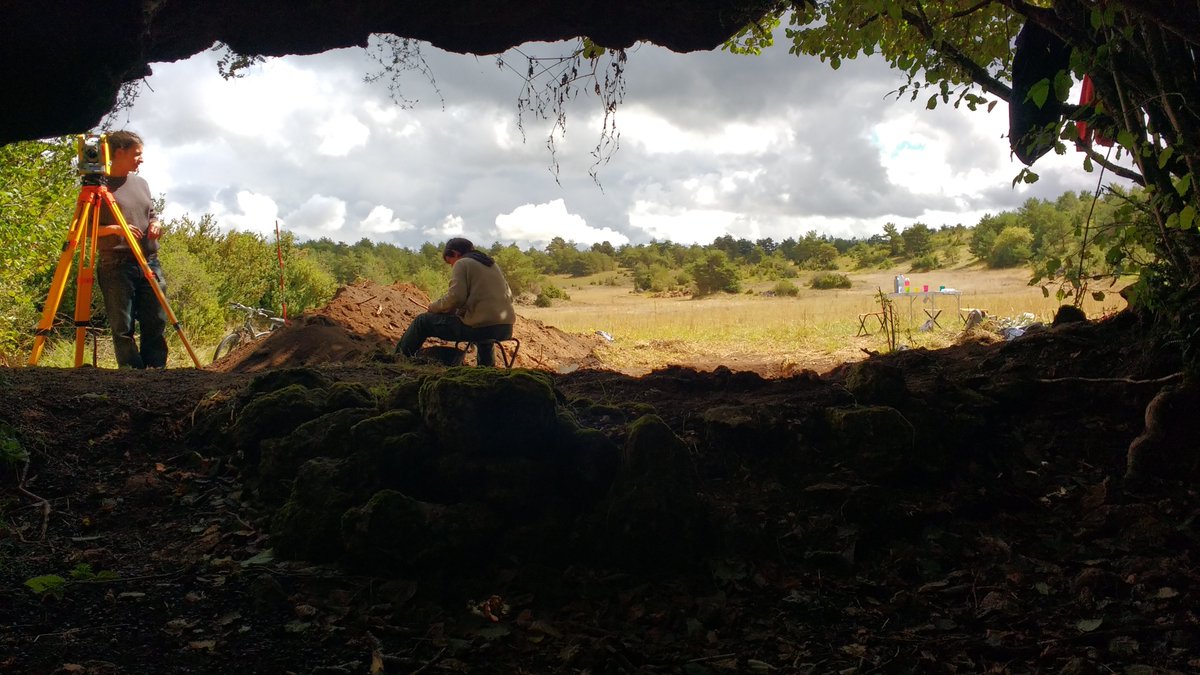 Elsa Defranould tweet media