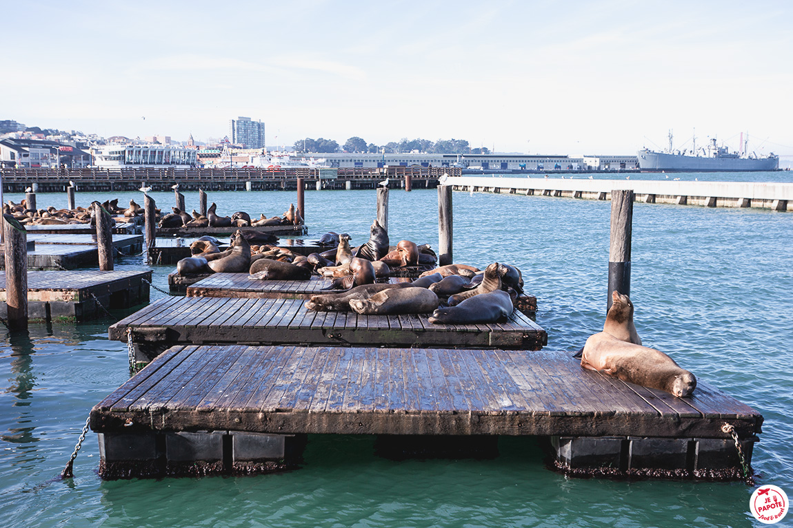 ❄ JePapote ❄ (@jepapote) on Twitter photo Sur le blog : Visiter San Francisco en 1 semaine je-papote.com/visiter-san-fr… #sanfrancisco #blogvoyage <a href="/onlyinsf/">Only in SF @ 🌁</a> Sur le blog : Visiter San Francisco en 1 semaine je-papote.com/visiter-san-fr… #sanfrancisco #blogvoyage <a href="/onlyinsf/">Only in SF @ 🌁</a>