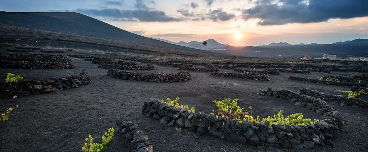 😍 'Lanzarote is synonymous with volcanoes, lava fields, rocks in impossible shapes, black and red earth that contrasts with the typical whitewashed houses, the deep blue sea and the light blue sky.' - @CanaryIslandsEN 

👉 hellocanaryislands.com/lanzarote/  

#Lanzarote #CanaryIslands