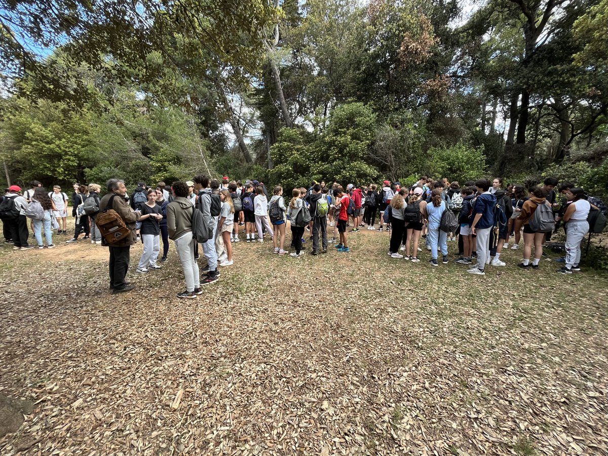 Collège l'Eganaude B (@clg_eganaude) on Twitter photo Début des olympiades solidaires pour les élèves du réseau Sophia CLE. Engagement et respect au programme de cette journée sur Île St Honorat. Merci aux Associations présentes🙏.<a href="/LaurentLeMerci4/">Laurent Le Mercier</a> <a href="/EpsAcNice/">EPS Académie de Nice</a> <a href="/NatachaChicot/">Natacha Chicot</a> Début des olympiades solidaires pour les élèves du réseau Sophia CLE. Engagement et respect au programme de cette journée sur Île St Honorat. Merci aux Associations présentes🙏.<a href="/LaurentLeMerci4/">Laurent Le Mercier</a> <a href="/EpsAcNice/">EPS Académie de Nice</a> <a href="/NatachaChicot/">Natacha Chicot</a>