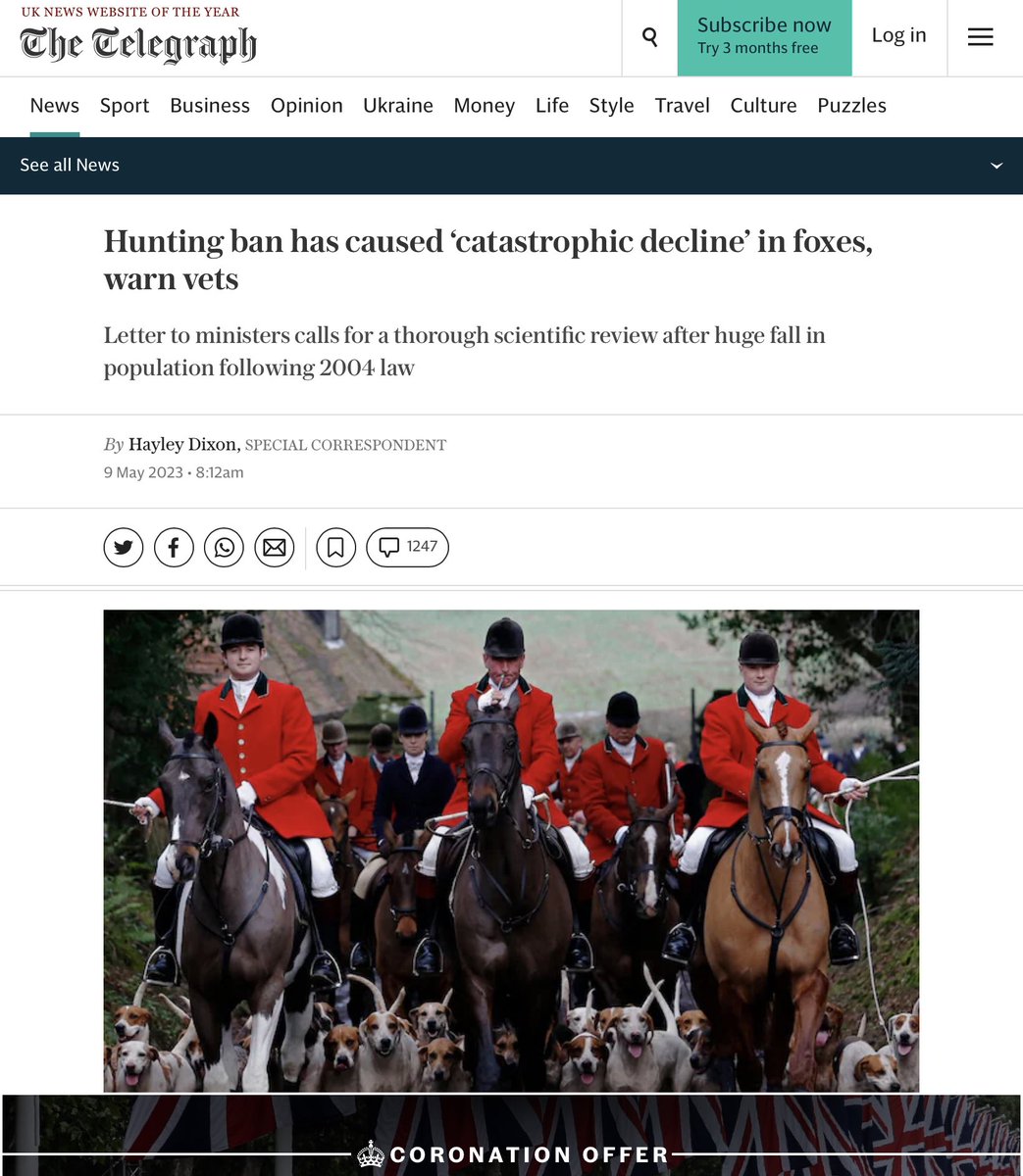 HighwaySqueak's tweet image. Yesterday brought an attempt to justify #huntingwithdogs by reason of too many foxes are being shot; rather than placing an embargo on shooting them, the elite want us to agree to foxes being terrorised for hours before being ripped to pieces.
Today there’s troll backup: #Foxes