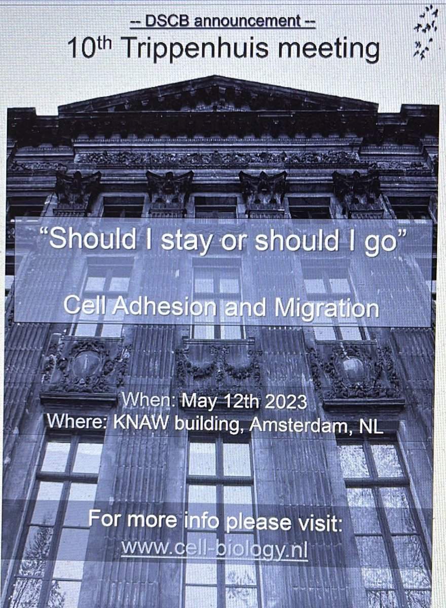 Tomorrow!
@DutchSCB 2023
#celladhesion #cellmigration
