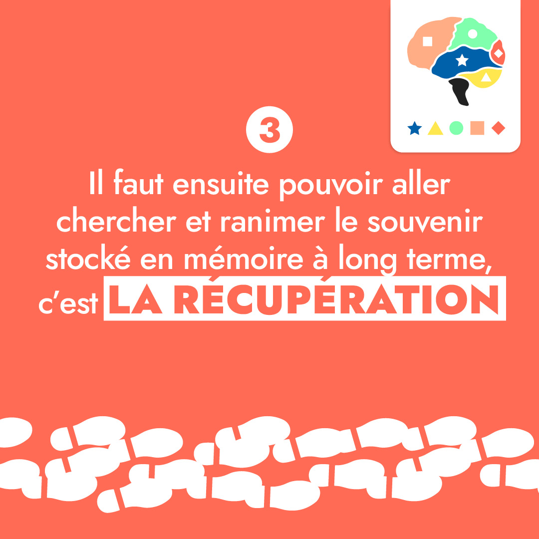 Pour mémoriser une information sur le long terme, il faut laisser une trace mnésique forte dans le cerveau.
Comment ? 
On vous en dit plus dans cette infographie.
#mémorisation #neurosciences #energyformation