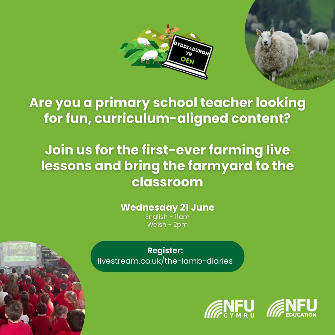 We're bringing the farmyard to classrooms across Wales with our new, bilingual live lessons for primary schools. Rydyn ni'n dod a buarth y fferm i'r dosbarth gyda'n gwersi fyw, dwyieithog. Don't miss out. Register your class today: ow.ly/v2Pr50OlbT5