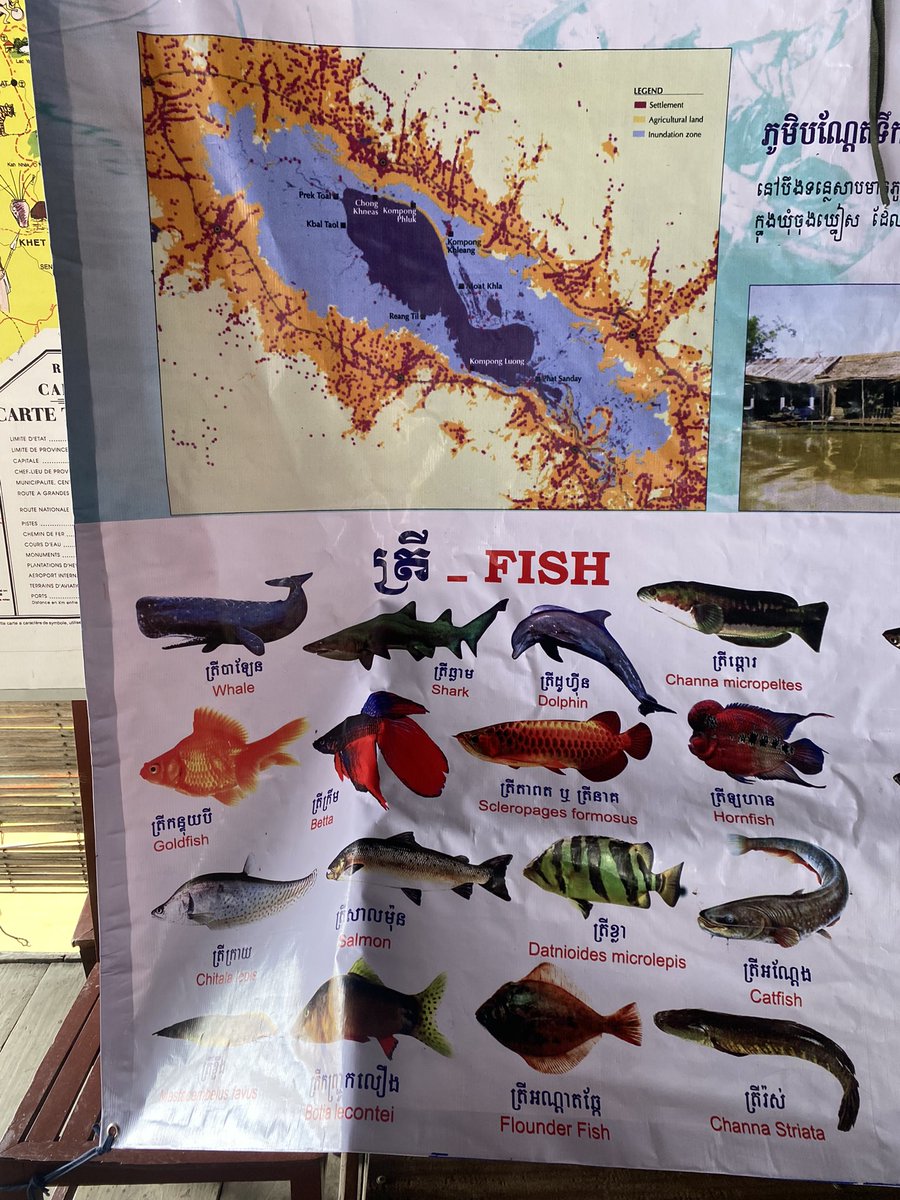 HuveneersSSEG's tweet photo. #SawfishNearMe great to see some elasmo incl. sawfish represented on a map of Cambodia but not sure that you get grey nurse sharks (or some of the other creatures represented here) in Tonle asap Lake https://t.co/SbsfZOa230