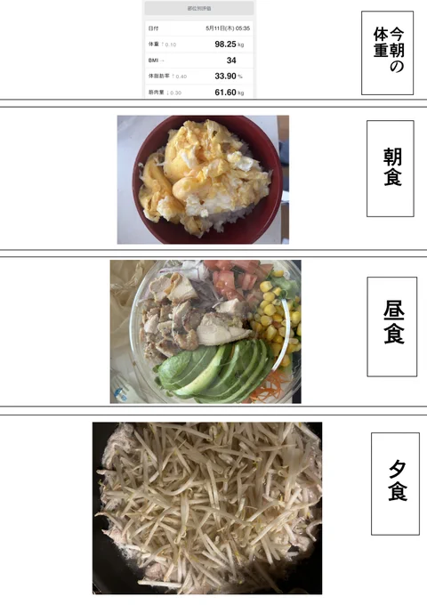 本気で30キロ痩せたい漫画家25 
